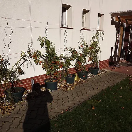 Regenbogen Guest house